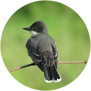 Ashwin Barama Ashwin Barama