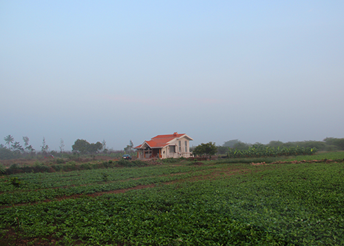 old-farm