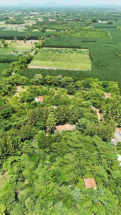 vaksana-farm-creator