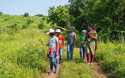 Nature-Explorer-Walks