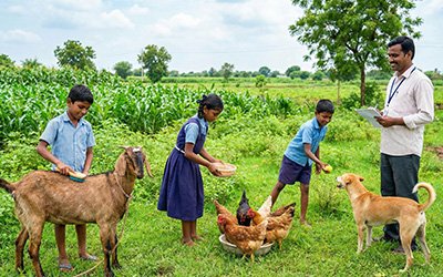 Pet Care & Responsibility.jpg