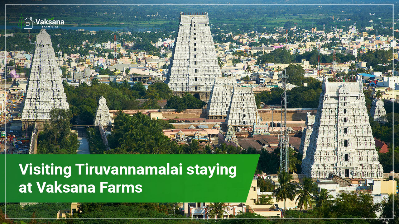 Visiting Tiruvannamalai staying at Vaksana Farms - Vaksana Farm Stay